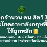 ฝึกเรียกจำนวน คน สัตว์ สิ่งของ ในประโยคภาษาอังกฤษพื้นฐานให้ถูกหลัก