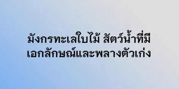 มังกรทะเลใบไม้ สัตว์นํ้าที่มีเอกลักษณ์และพลางตัวเก่ง