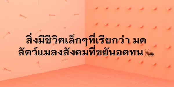 สิ่งมีชีวิตเล็กๆที่เรียกว่า มด สัตว์แมลงสังคมที่ขยันอดทน